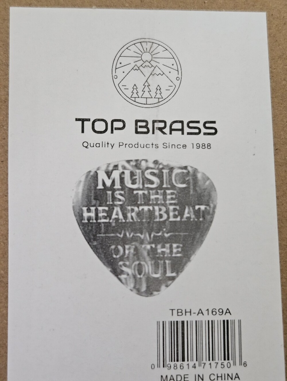 Music Is The Heartbeat Of The Soul Guitar Pick Sign - Picture 4 of 4